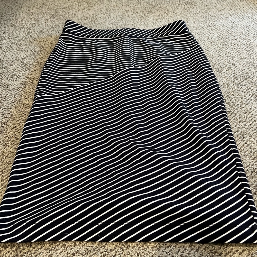 Navy and White Striped Skirt